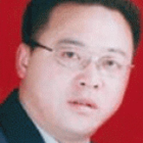 戴衛(wèi)華老師