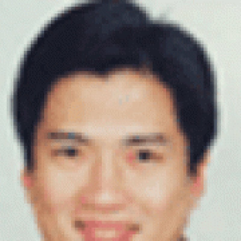 张莳月