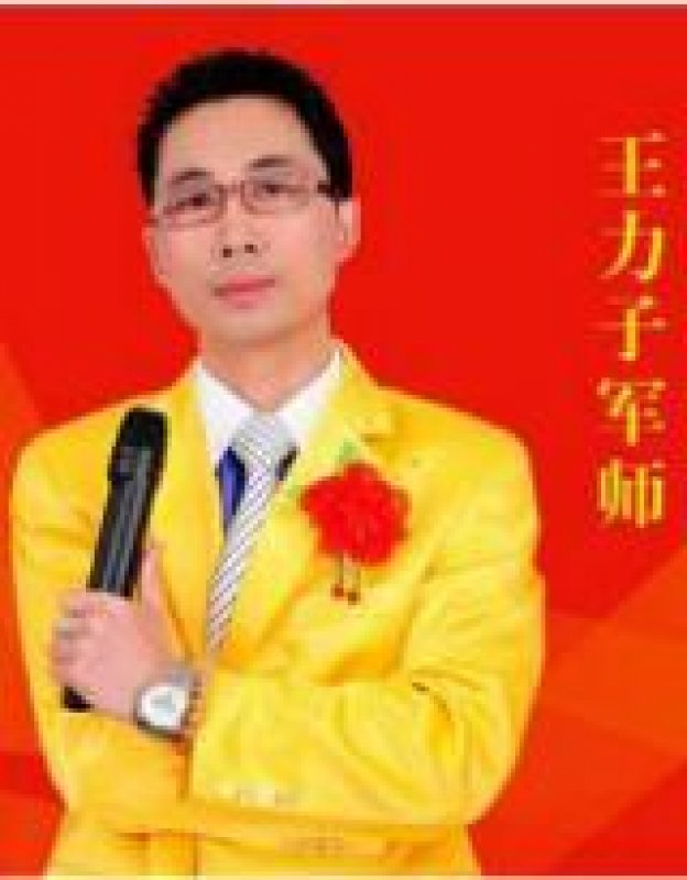 王力子